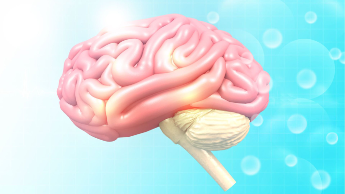 Bersih-Bersih Otak? Bisa! (Tapi bukan cuci otak ala doktrinasi, yaa)