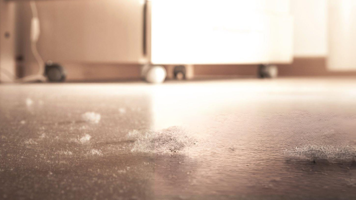 Dust, Dust Everywhere – Tiny Specks, Huge Impact!