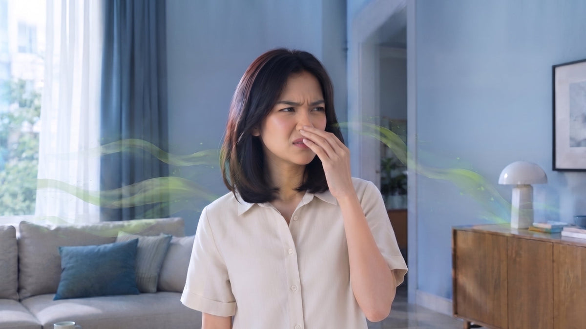 Rumah Bau Apek, Tapi Kok Tidak Tercium Hidung?