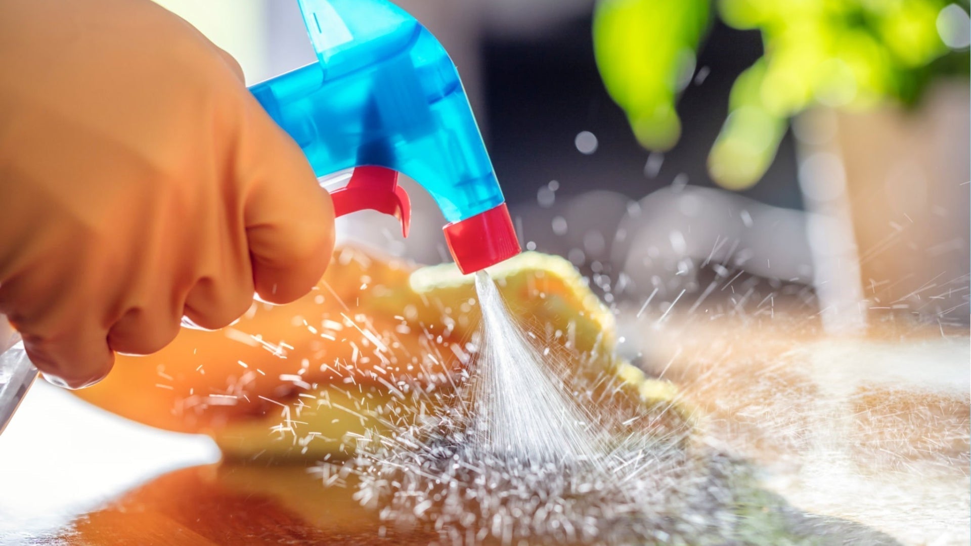 Semakin Bersih, Semakin Gak Sehat? Ternyata Bukan Begitu Ceritanya…