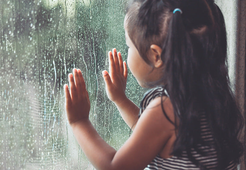 5 Alasan Anda Membutuhkan Dehumidifier