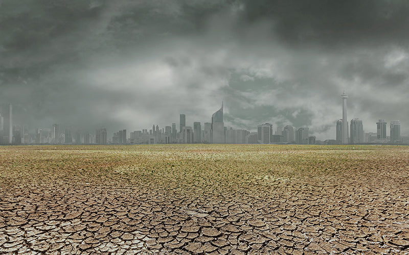 El Niño: Kebakaran Hutan, Kemarau, dan Kualitas Udara di Indonesia