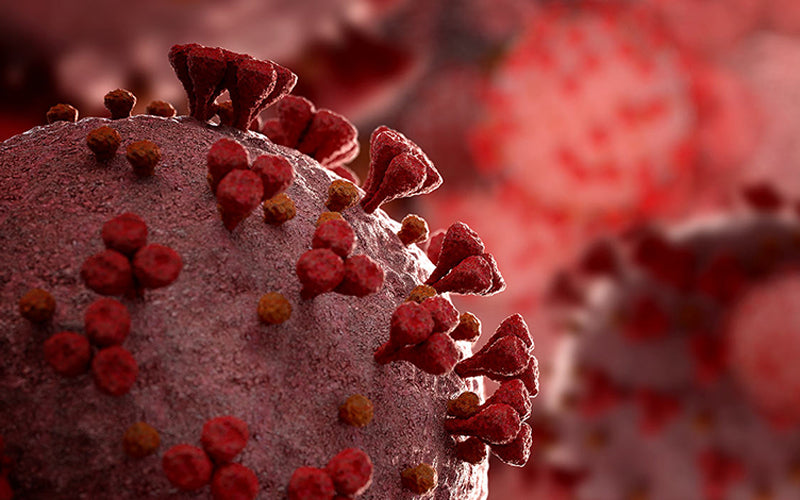 Apakah Pembersih Udara Dapat Menghilangkan Virus Corona dari Udara?