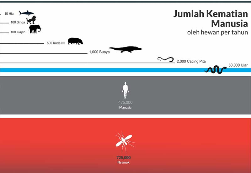 Hewan Pembunuh Paling Mematikan