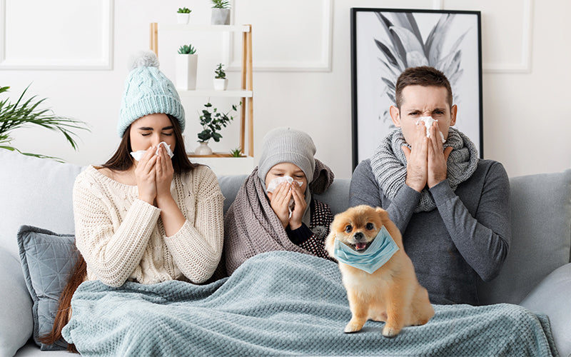 Beyond AQI : Toxic Gases Lurking in Your Home