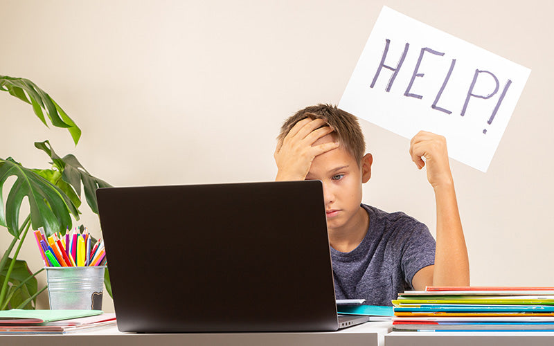 Impact of the Pandemic on Students