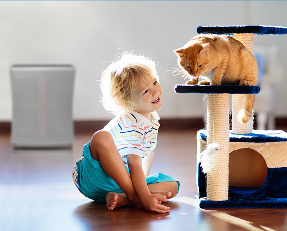 Udara yang Bersih dari Dander Hewan Peliharaan