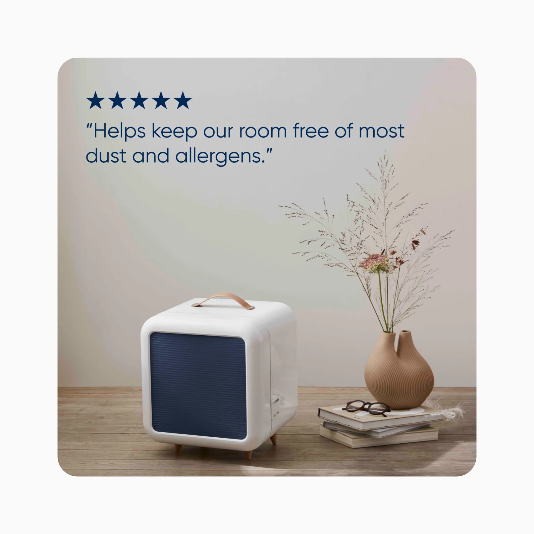 Blueair Filter - Blue Pure Fan