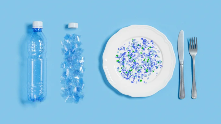 Indonesia: Masuk Peringkat Teratas Paparan Mikroplastik Global
