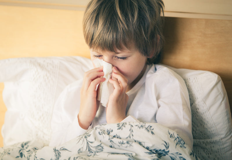5 Tips for Allergy-Free Bedroom