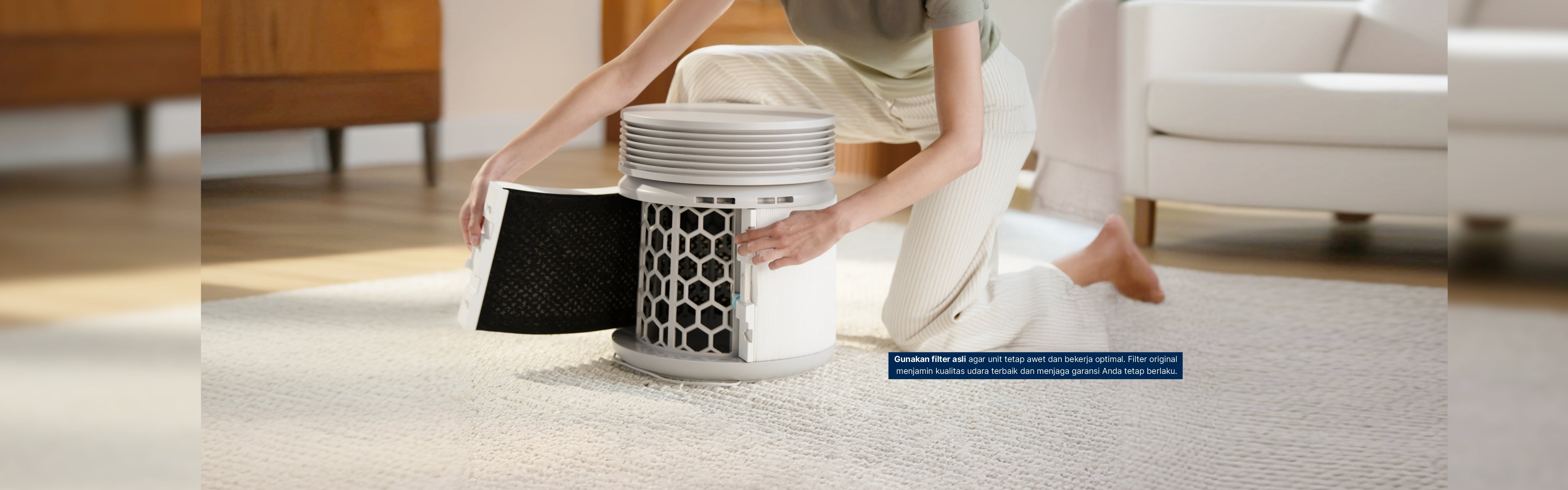 Filter Blueair Original Carbon Resmi Indonesia
