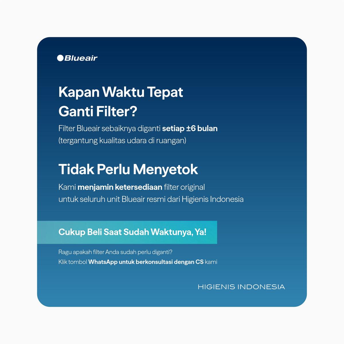 Blueair Filter - Blue 3610 / Blue Pure 221