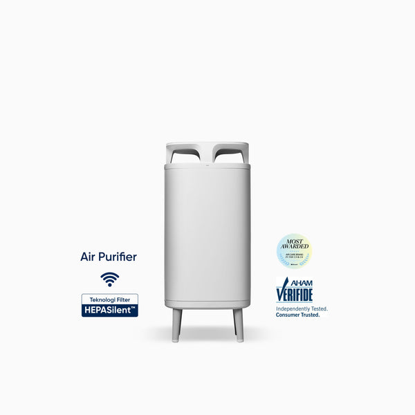 Blueair DustMagnet 5210i Air Purifier pembersih udara HEPASilent Filter AHAM Verified
