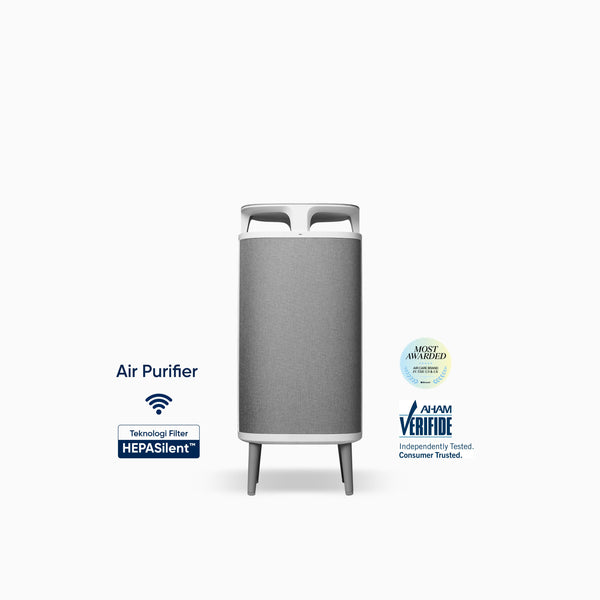 Blueair DustMagnet 5240i Air Purifier pembersih udara HEPASilent Filter AHAM Verified