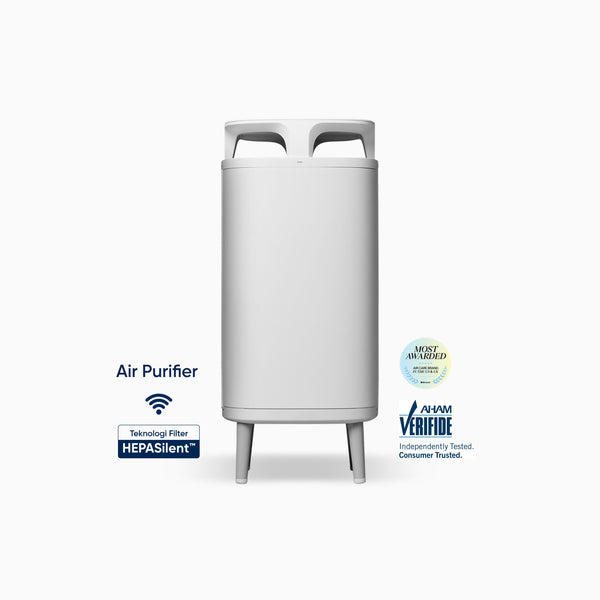 Blueair DustMagnet 5410i Air Purifier pembersih udara HEPASilent Filter AHAM Verified