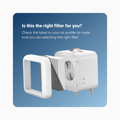 Blueair Filter - Blue Pure Fan