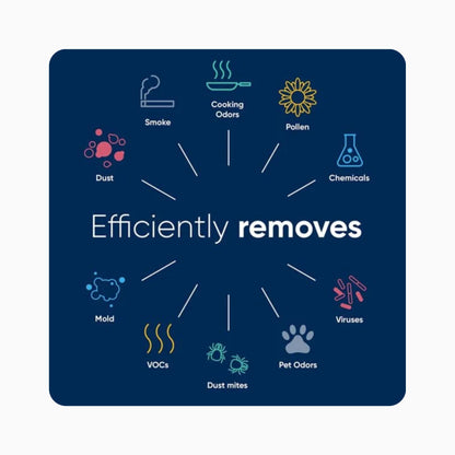 Blueair Filter - Classic 500 & 600 Series - DualProtection