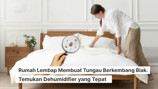 Rumah Lembap Membuat Tungau Berkembang Biak. Temukan Dehumidifier yang Tepat