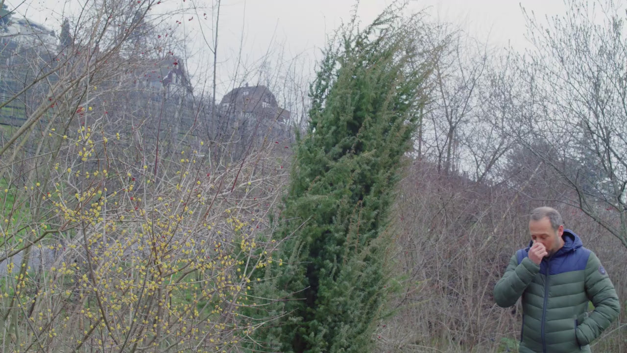 Muat video: 