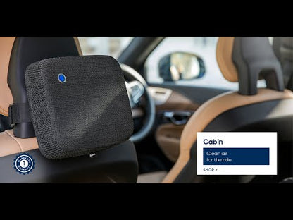 Cabin P1