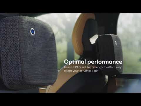 Cabin P1
